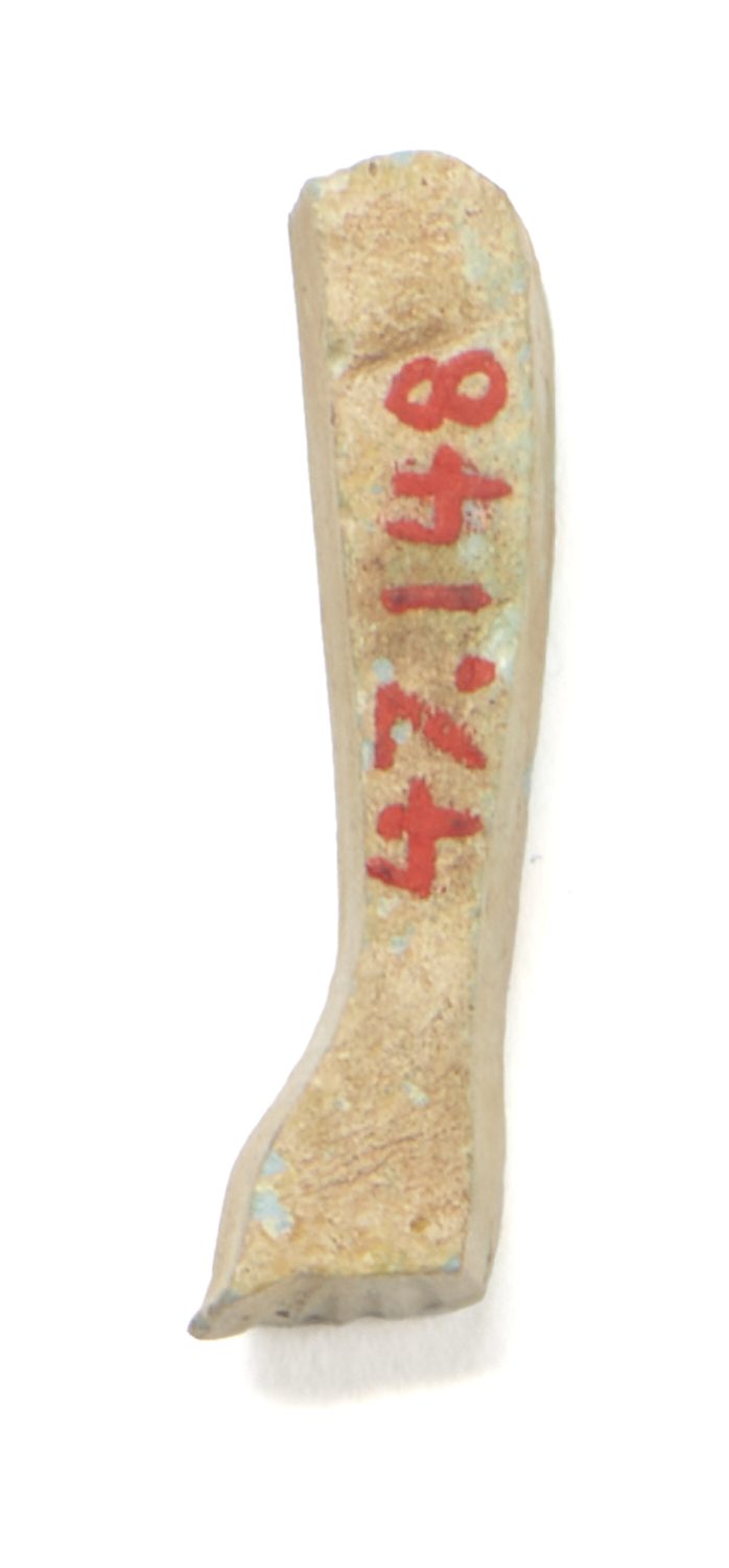 Image for Inlay of an Arm